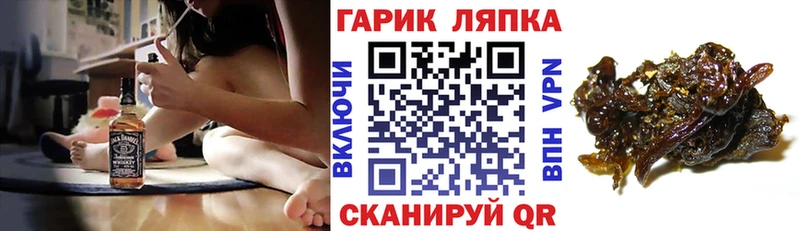 ГАШ Cannabis  Великий Новгород 