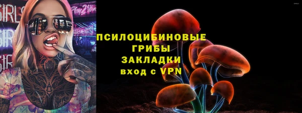первитин Богородицк