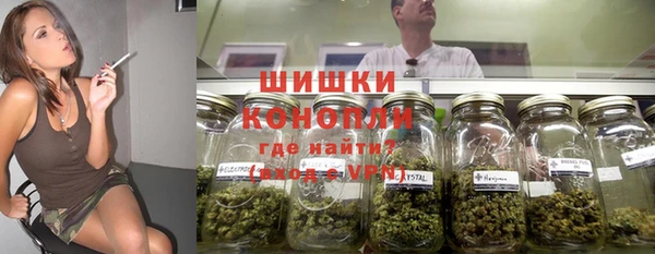 первитин Богородицк