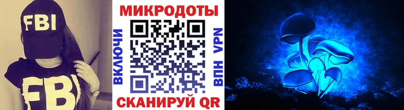 Галлюциногенные грибы Psilocybine cubensis KRAKEN ссылка Великий Новгород